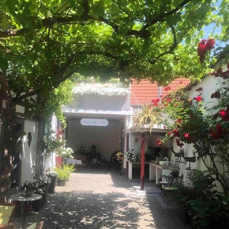 Ferienwohnung Im 'Schmoller - Hof' Нойштадт-ан-дер-Вайнштрасе Екстер'єр фото