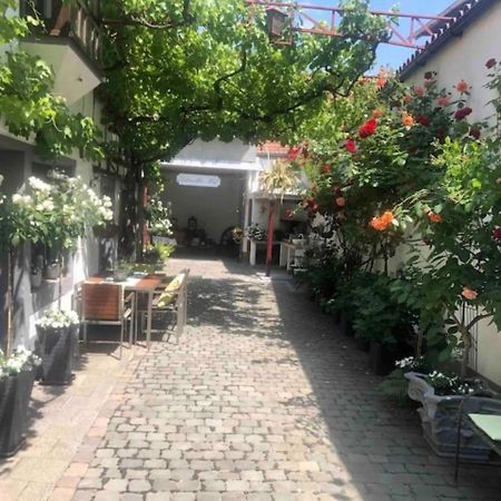 Ferienwohnung Im 'Schmoller - Hof' Нойштадт-ан-дер-Вайнштрасе Екстер'єр фото