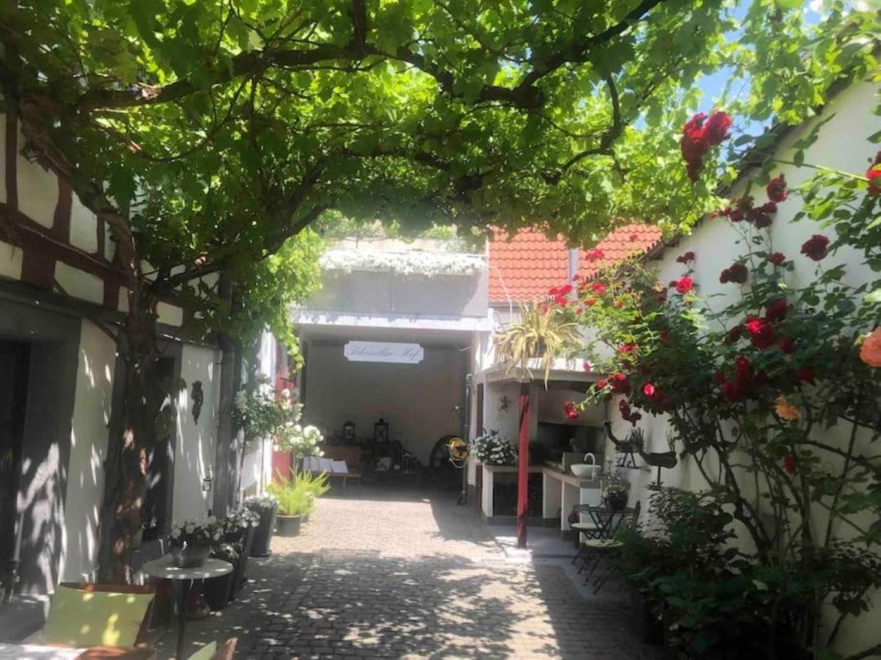 Ferienwohnung Im 'Schmoller - Hof' Нойштадт-ан-дер-Вайнштрасе Екстер'єр фото